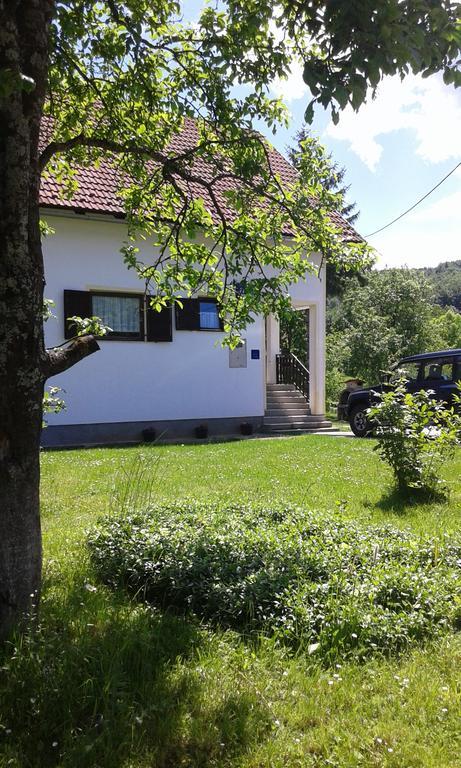 Apartment Gabi Smoljanac Kültér fotó