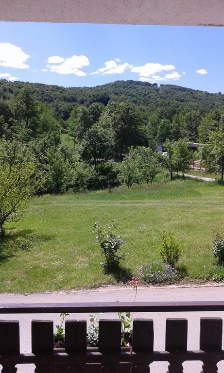 Apartment Gabi Smoljanac Kültér fotó