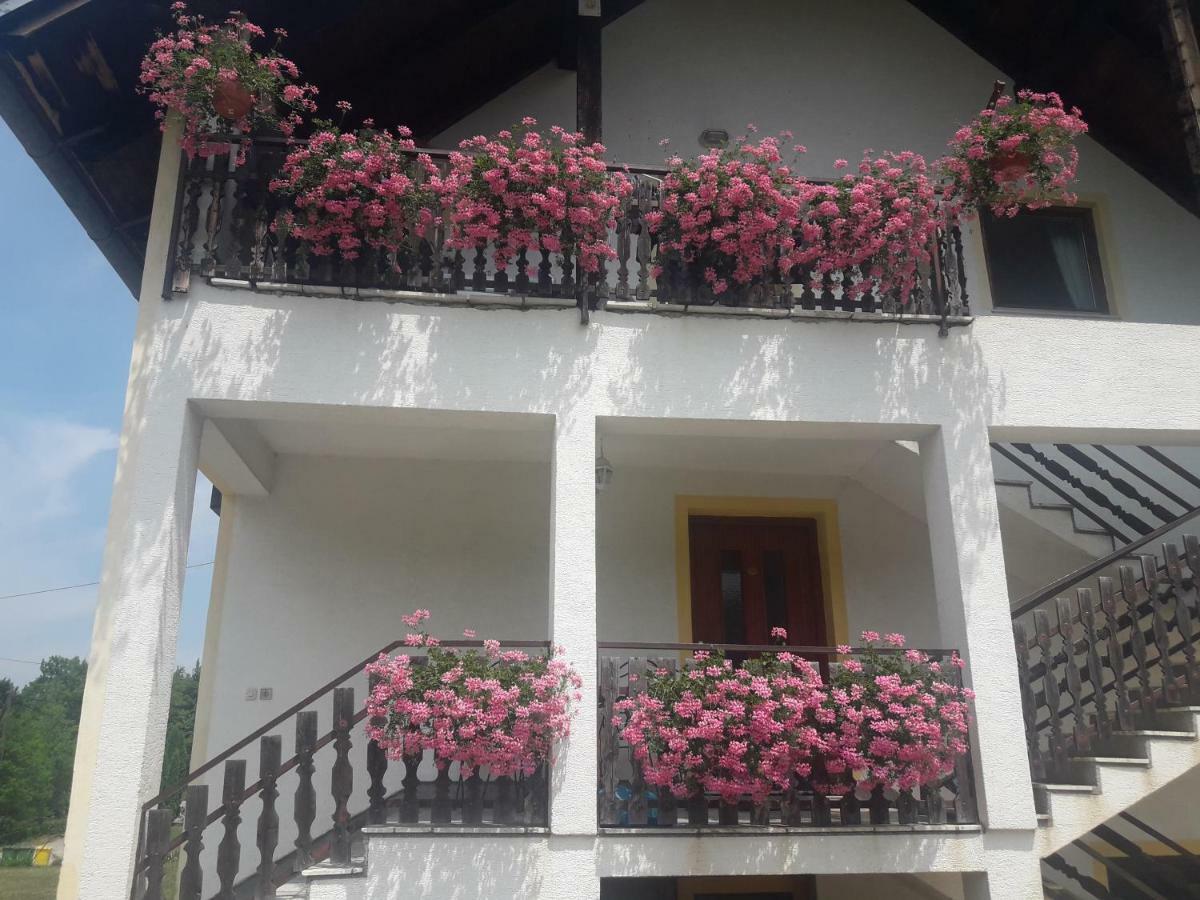 Apartment Gabi Smoljanac Kültér fotó